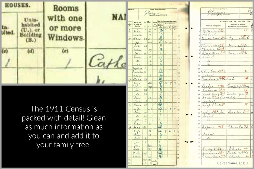 1911 Census - Scotland